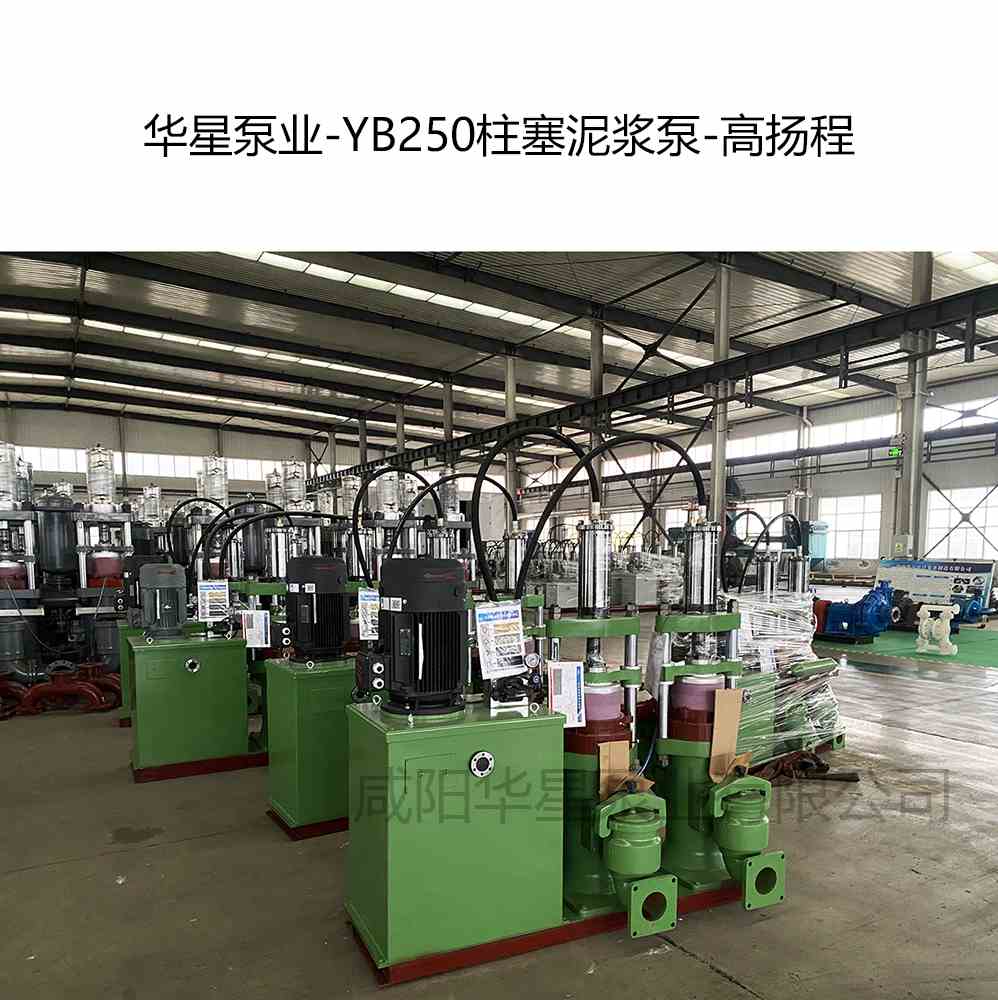 選礦廠購買2臺YB250高揚(yáng)程柱塞泥漿泵