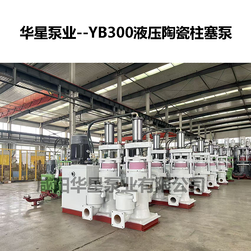 YB300液壓陶瓷柱塞泵-06 YB300液壓陶瓷柱塞泵-06