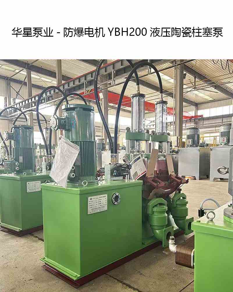 華星泵業-防爆電機YBH200液壓陶瓷柱塞泵-產品圖片